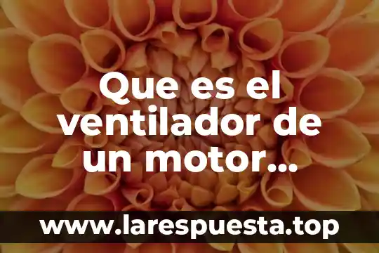 Qué es la iee en un ventilador mecánico 6 Que es el ventilador de un motor eléctrico