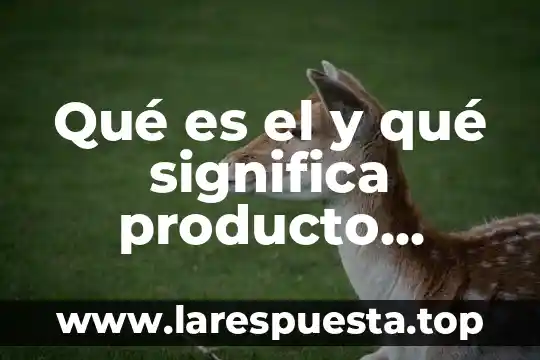 Qué es el producto interno bruto industrial 7 Qué es el y qué significa producto interno bruto