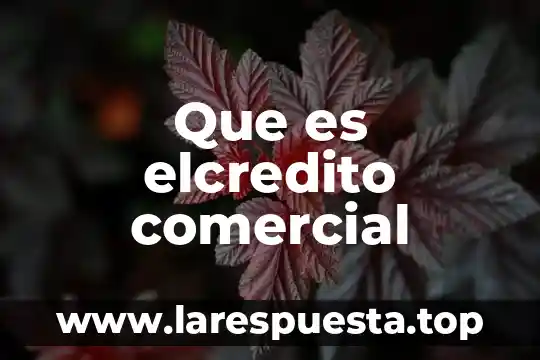 Que es el software y comercial 8 Que es elcredito comercial