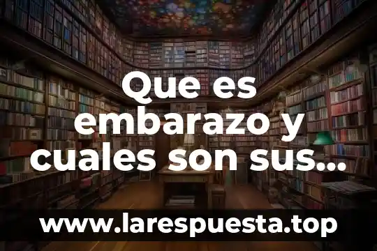Que es un proyecto tipos y etapas 4 Que es embarazo y cuales son sus etapas