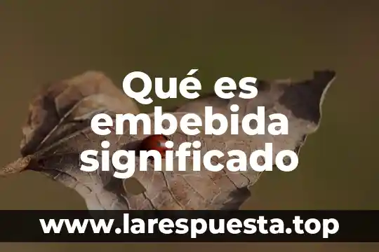 Qué es embebida significado