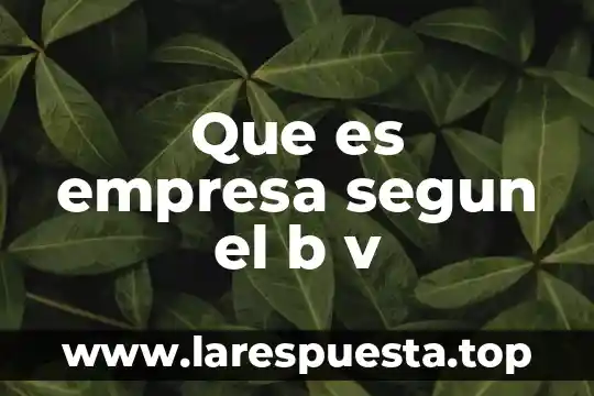 Qué es el alzhéimer según DSM V 6 Que es empresa segun el b v