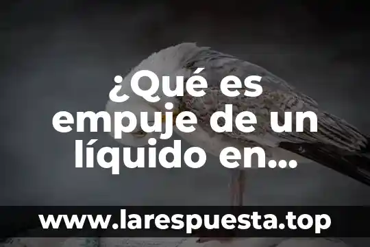 Qué es la educación física específica 8 ¿Qué es empuje de un líquido en física?