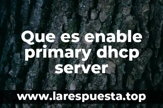 Que es enable primary dhcp server