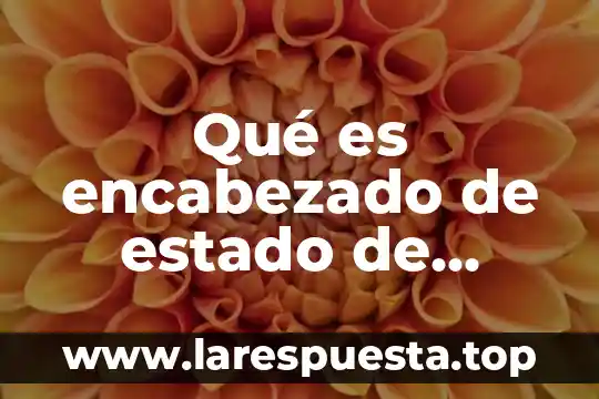 Qué es encabezado de estado de cuenta