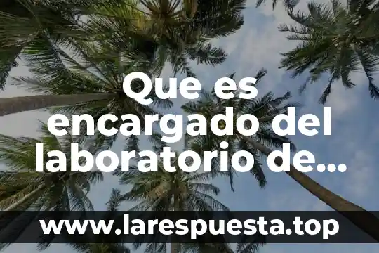 Que es equipo ergonomico de computo 5 Que es encargado del laboratorio de computo