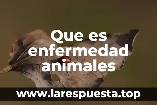 Que es el lenguaje y el pensamiento en animales psicologia 8 Que es enfermedad animales