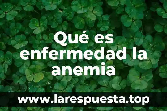Qué es una anemia en niños 4 Qué es enfermedad la anemia