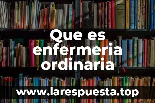 Qué es registro contable con objetivo 3 Que es enfermeria ordinaria