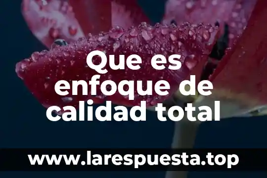 Que es calidad total articulos 6 Que es enfoque de calidad total