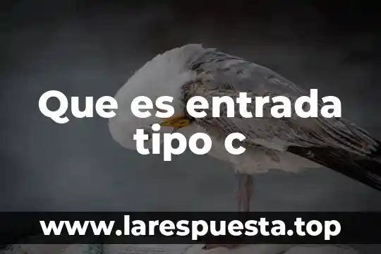 Que es entrada tipo c