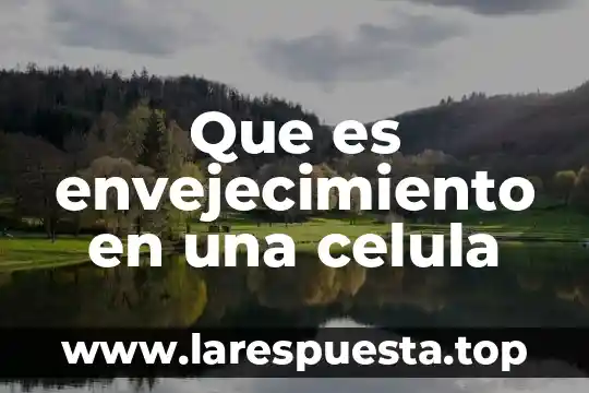 Que es envejecimiento en una celula