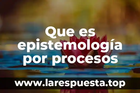 Que es y procesos de gusto 8 Que es epistemología por procesos