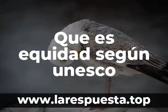 Que es restauracion segun la unesco 5 Que es equidad seg煤n unesco