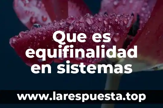 Que es un inventario de sistemas 6 Que es equifinalidad en sistemas