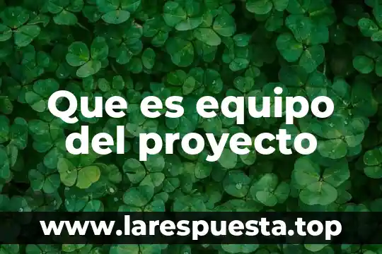 Que es equipo del proyecto