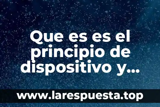 Que es una historia procesal 6 Que es es el principio de dispositivo y procesal