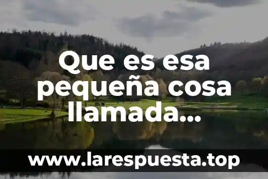 Que es esa pequeña cosa llamada ciencia