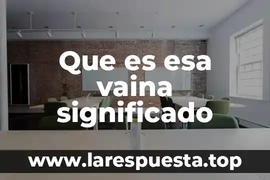 Que es esa vaina significado