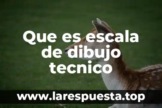 Que es dibujo oblicuo 3 Que es escala de dibujo tecnico