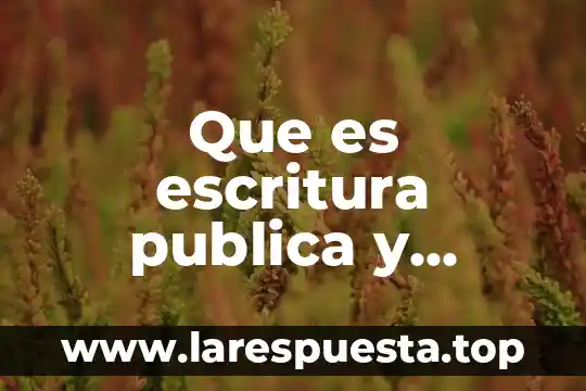 Que es una privada con administración de residentes 5 Que es escritura publica y privada