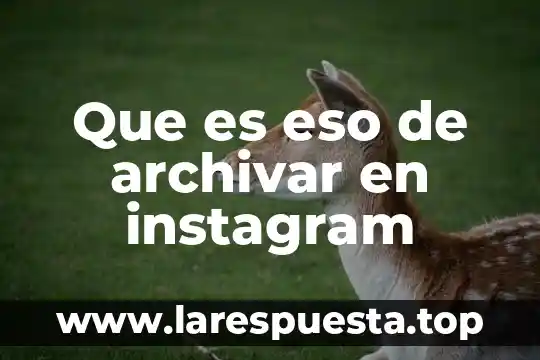 Que es el circulo rojo en instagram en buscar personas 4 Que es eso de archivar en instagram