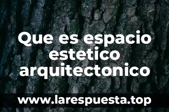 El valor estético y artístico 8 Que es espacio estetico arquitectonico