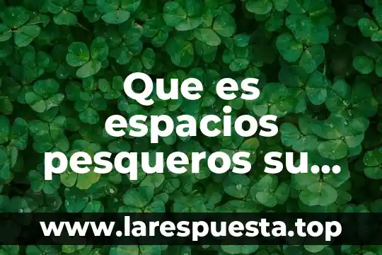 Que es espacios pesqueros su significa