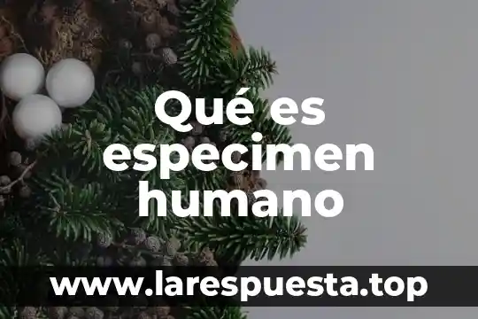 Qué es el nombre del asentamiento humano 3 Qué es especimen humano