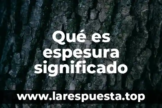 Qué es espesura significado