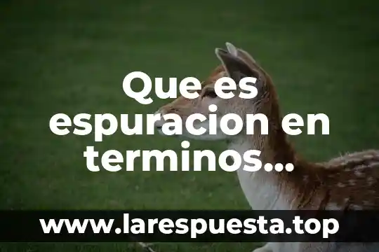 Que es espuracion en terminos religiosos