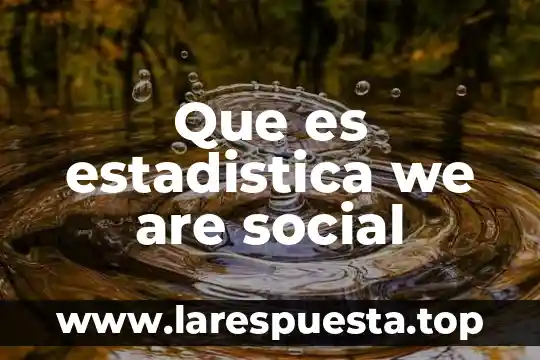 Que es estadistica we are social