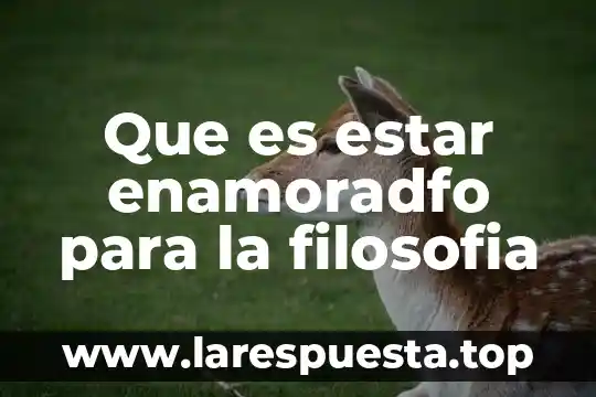 Que es estar enamoradfo para la filosofia