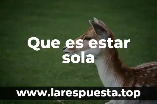 Que es un desecador sola 3 Que es estar sola