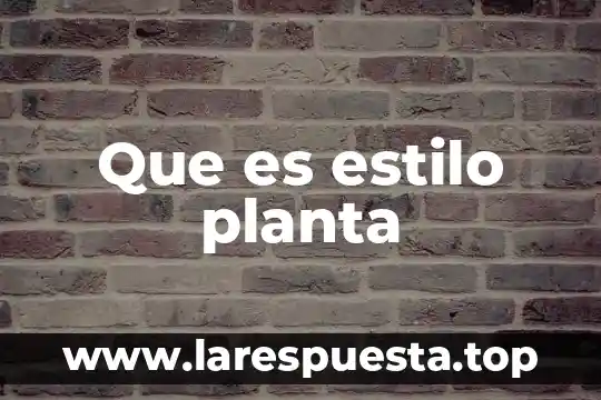 Que es contrato de planta 8 Que es estilo planta