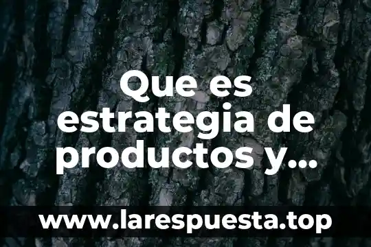 Que es estrategia de productos y servicios
