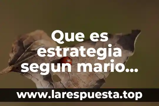 Que es estrategia segun mario bunge