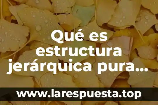 Qué es estructura jerárquica pura o lineal