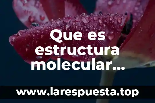 Que es superestructura en estructura socioeconomica 7 Que es estructura molecular socioeconomica
