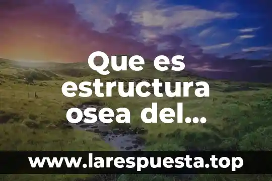 Que es estructura osea del cuerpo humano