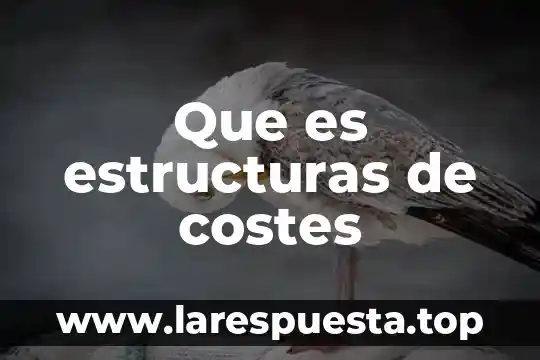 Que es la densidad de estructuras oseas disminuidas 3 Que es estructuras de costes
