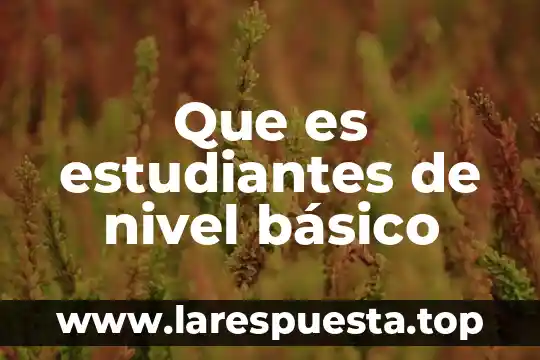 Que es estudiantes de nivel básico