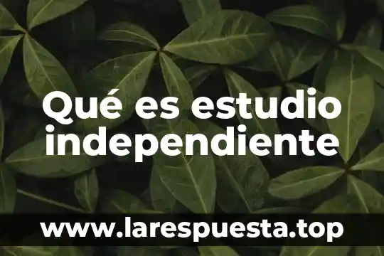 Qué es estudio independiente