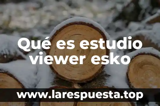 Como se puede proteger una persona que es sanadora y absorbe todo 3 Qué es estudio viewer esko
