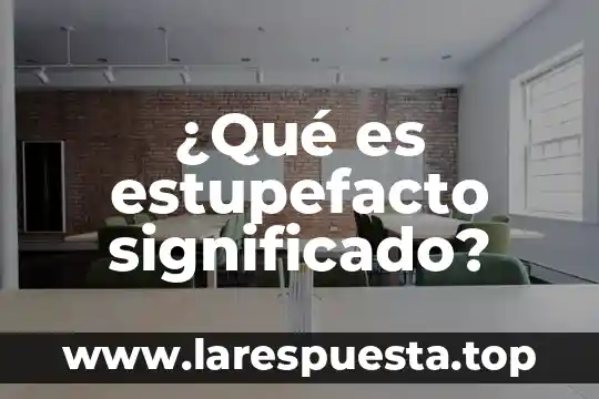 Qué es SWF significado 8 ¿Qué es estupefacto significado?