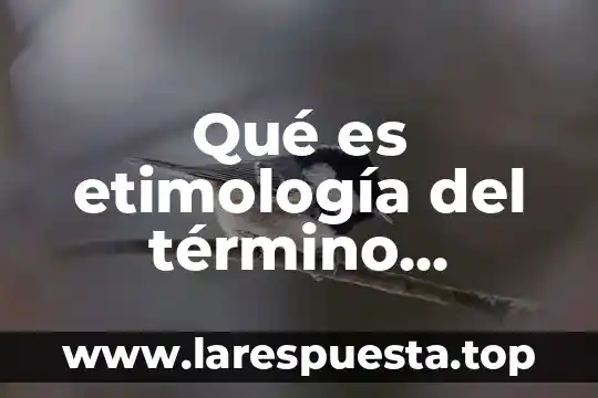 Qué es etimología del término moniapio
