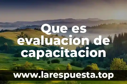 Que es evaluacion cuali-cuantitativo 5 Que es evaluacion de capacitacion