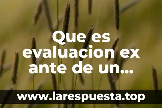 Que es evaluacion ex ante de un proyecto