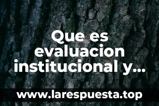 Ejemplo que es un aval institucional 8 Que es evaluacion institucional y por niveles