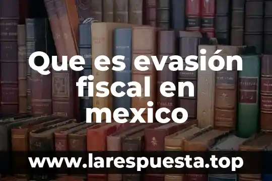 Que es evasión fiscal en mexico